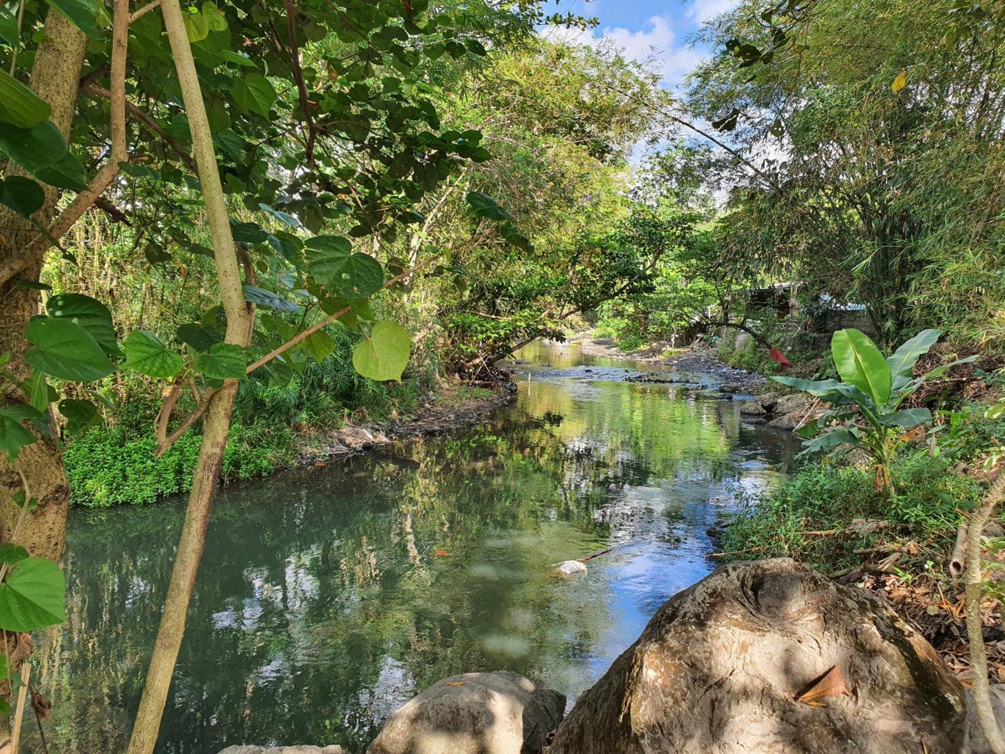 Villa Alicia Maguwo Buitenkant foto